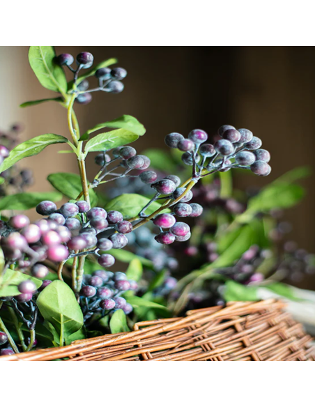Symphoricarpos "Blue Cushion" - Ghiveci 3L